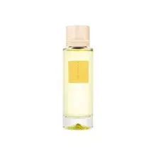 Mimosa Austral EDP