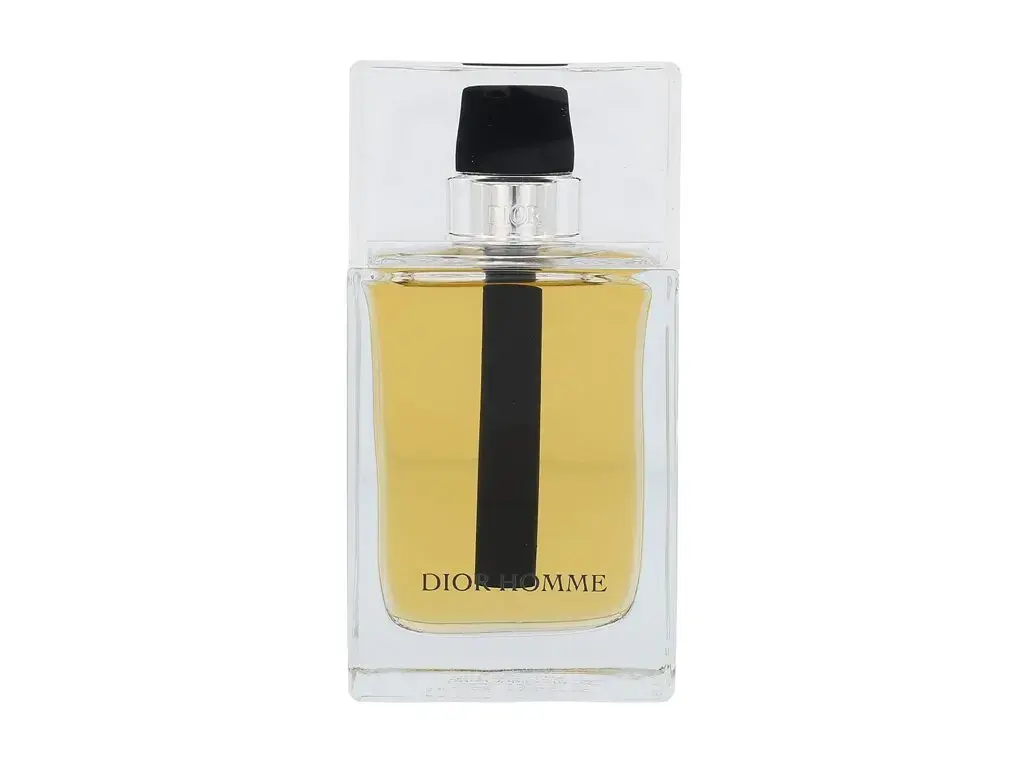 Dior Dior Homme 2011 Eau de Toilette 100 ml