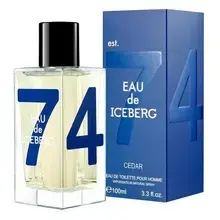 Iceberg Eau de Iceberg Cedar pour Homme (EDT) туалетная вода для мужчин 100 мл