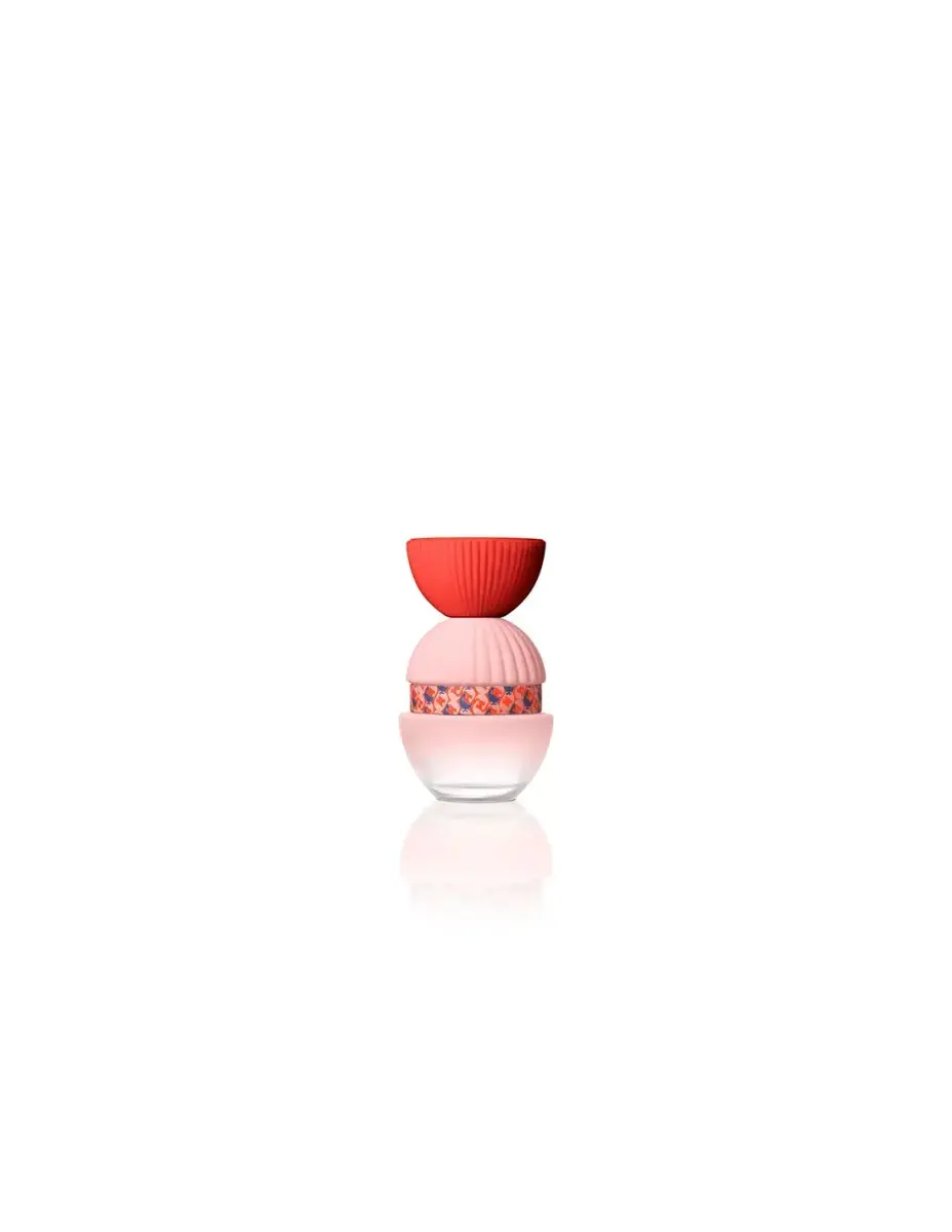 El Ganso Fun y Chic (EDP) parfimērijas ūdens sievietēm 100 ml