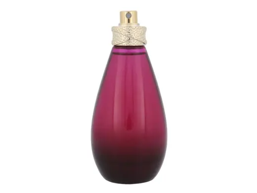 Britney Spears Fantasy the Naughty Remix Eau de Parfum 100 ml