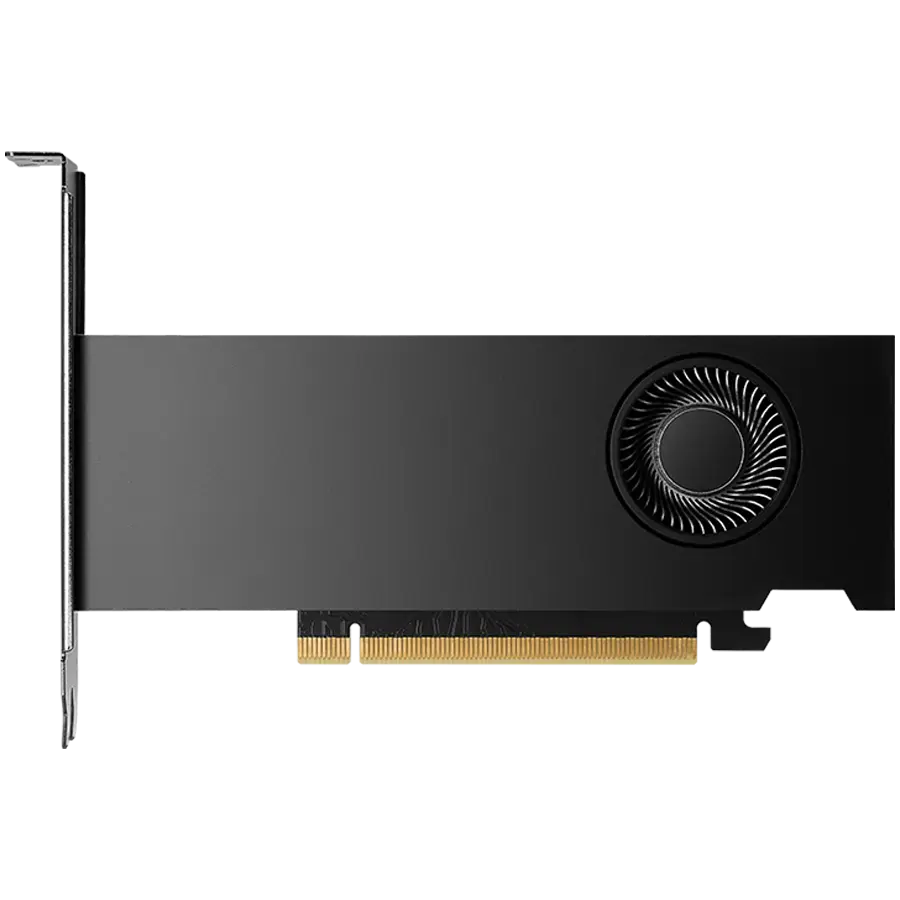 NVIDIA RTX 2000 Ada Generation - graphics card - NVIDIA RTX 2000 Ada - 16 GB