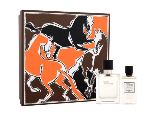 Hermes Terre d'Hermes Eau de Toilette 50 ml