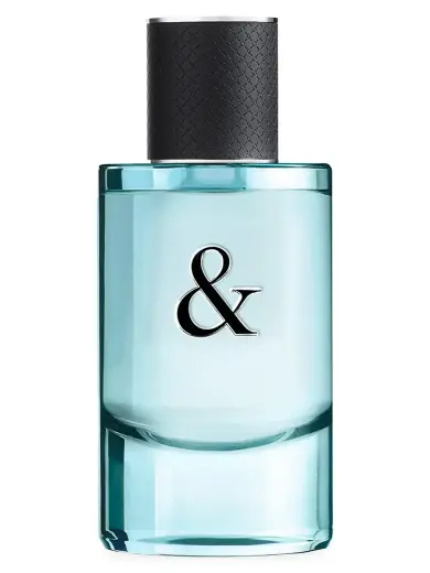 Tiffany & Co. Tiffany & Love (EDT) tualettvesi meestele 90 ml