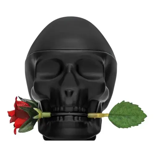 Christian Audigier Ed Hardy Skulls & Roses for Him Eau de Toilette for men 100 ml