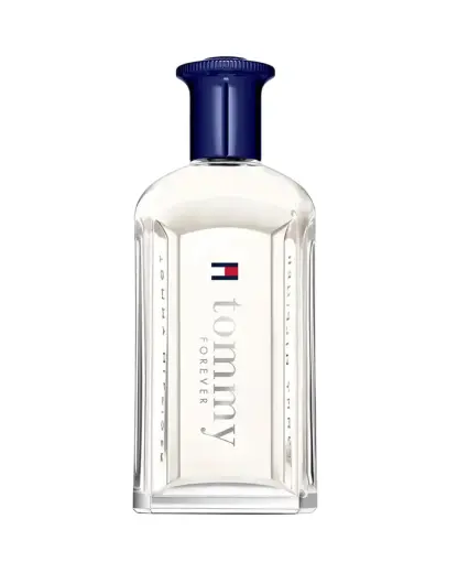 Tommy Hilfiger, Forever, Eau De Toilette, For Men, 100 ml