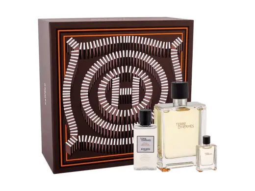Hermes Terre d'Hermes Eau de Toilette 100 ml