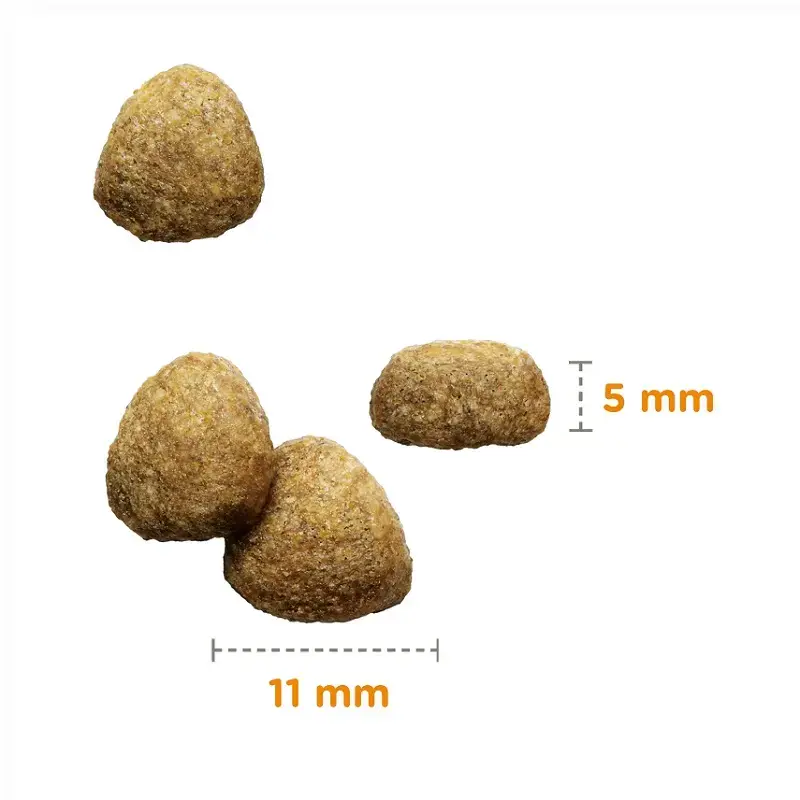 Sausā barība kaķiem - IAMS CAT ADULT STERILIZED CHICKEN, 800 gr