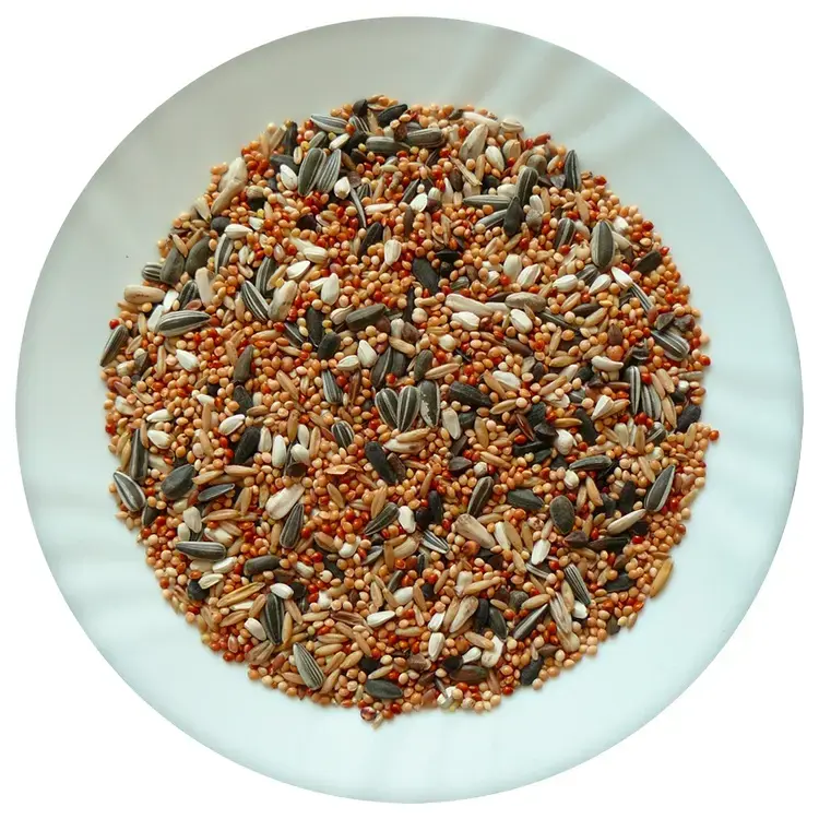 Barība maziem un vidējiem papagaiļiem – Avicentra standard for small parrots, 1 kg