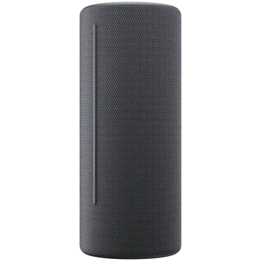 WE. HEAR 2 By Loewe Portable Speaker 60W, Storm Grey