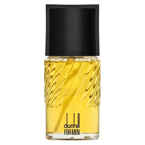 Dunhill Dunhill for Men Tualetes ūdens vīriešiem 100 ml