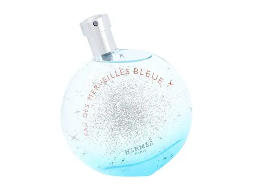 Hermes Eau Des Merveilles Bleue Eau de Toilette 100 ml