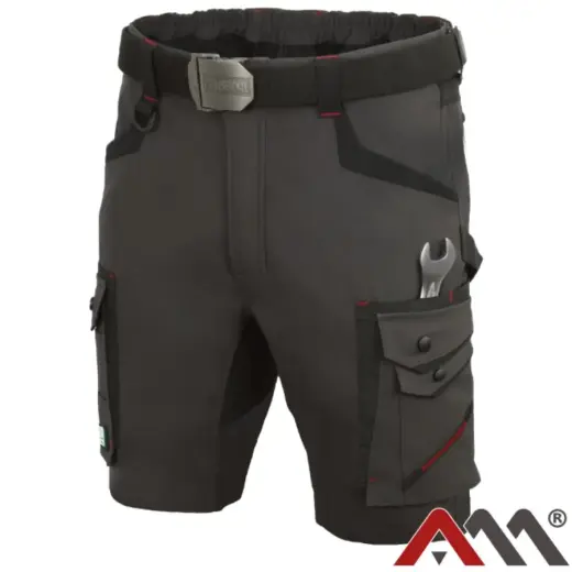 Šorti darba Professional 4 Dynamic 46.izm