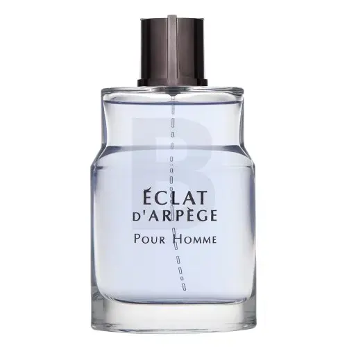 Lanvin Éclat d'Arpège Pour Homme Eau de Toilette for men 100 ml