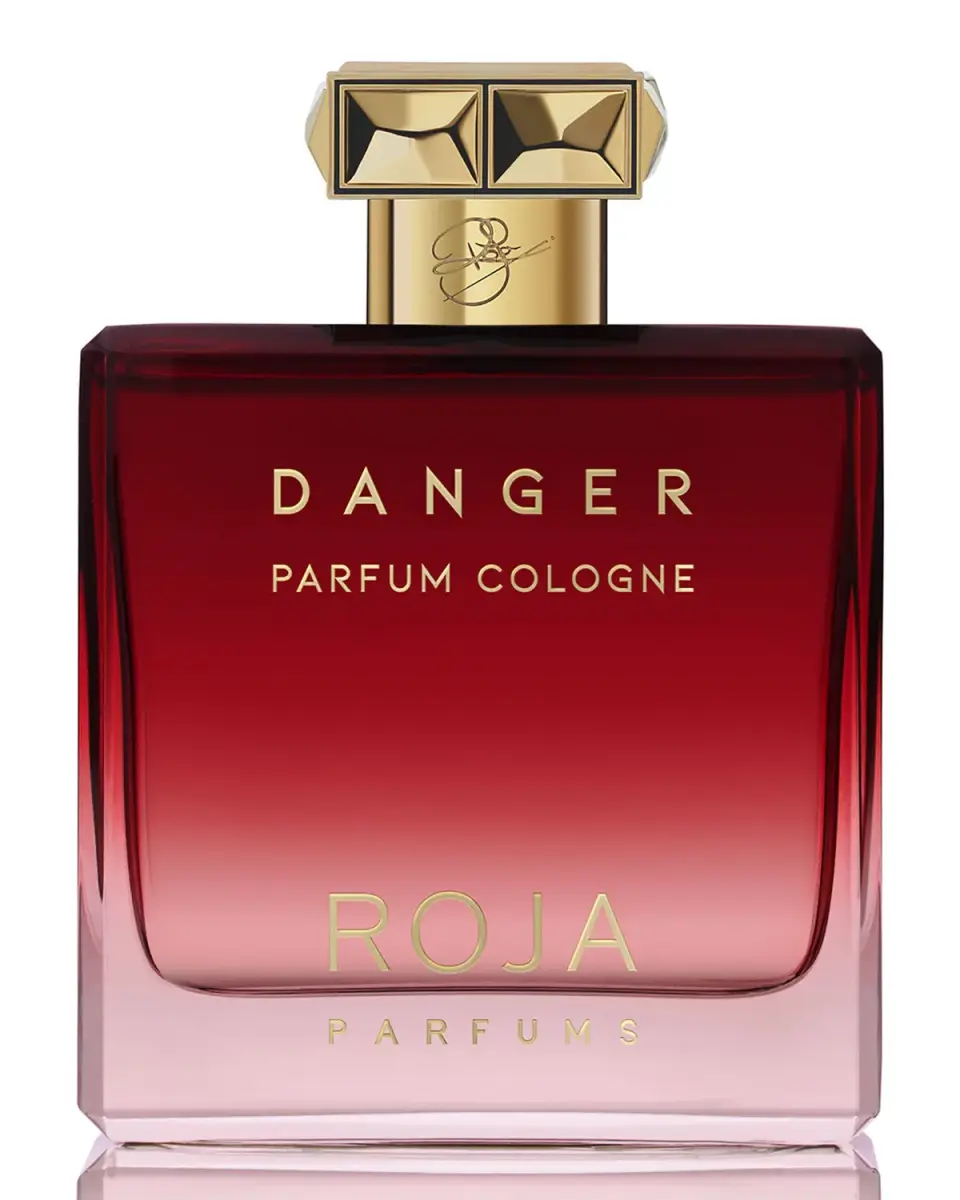 Roja Danger Pour Homme Parfum Cologne Spray 100ml
