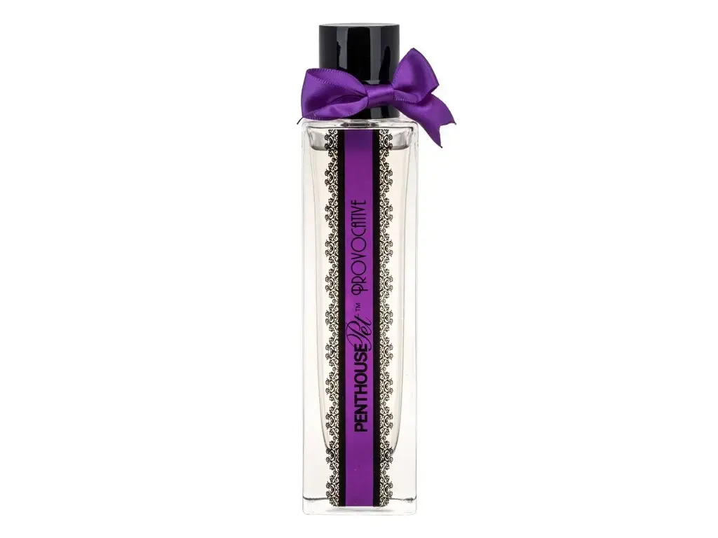 Penthouse Provocative Eau de Parfum 100 ml