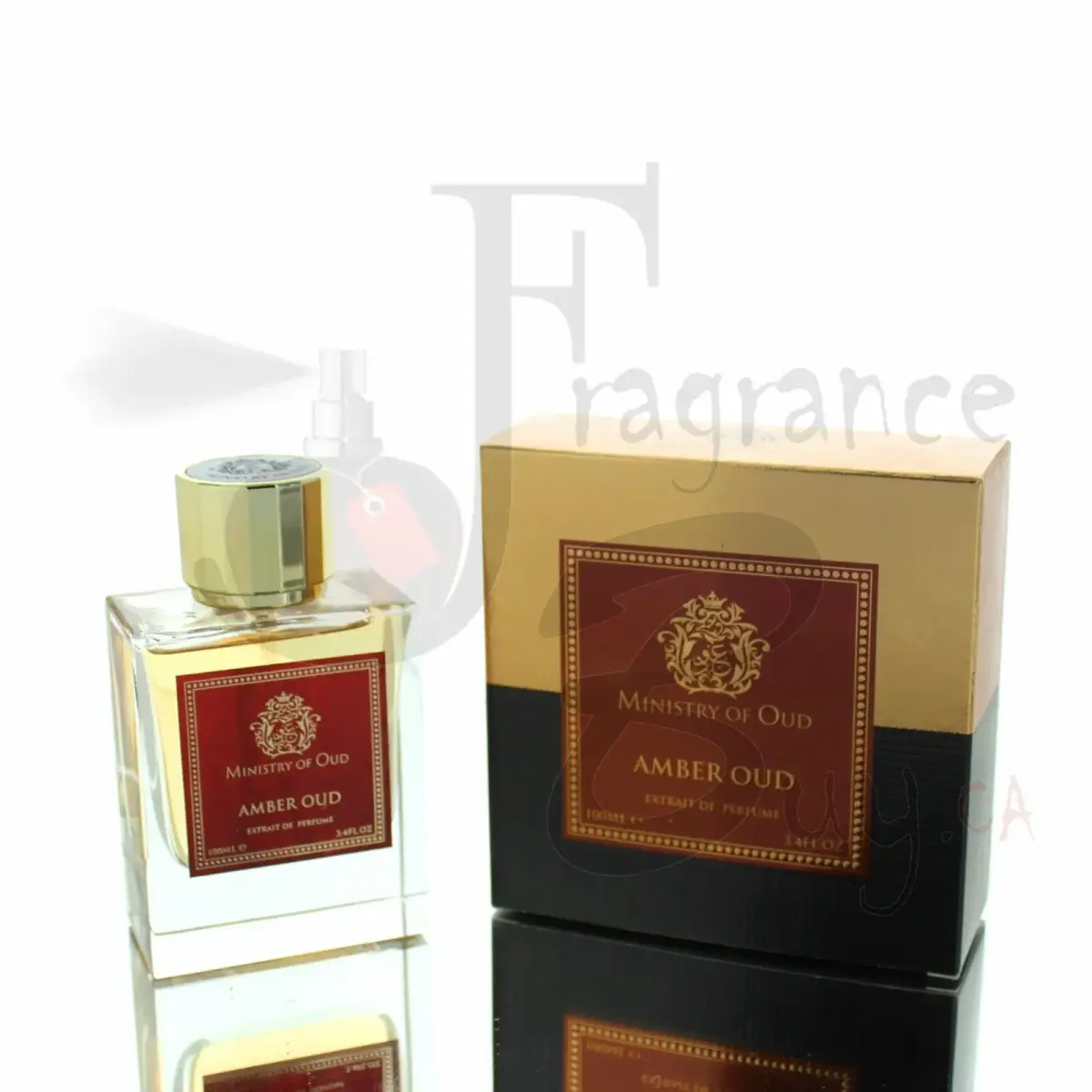Paris Corner Ministry of Oud Amber Oud smaržas 100 ml