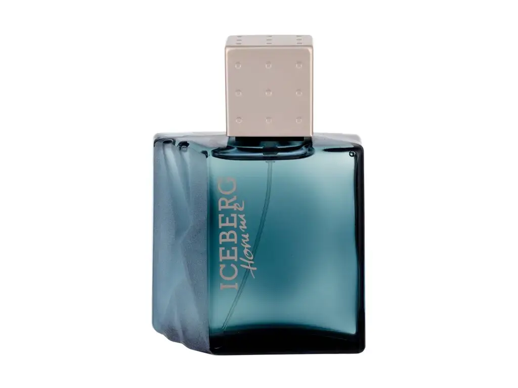 Iceberg Homme Eau de Toilette 100 ml