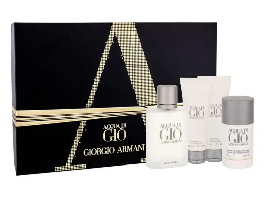 Giorgio Armani Acqua di Gio Pour Homme Eau de Toilette 100 ml