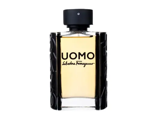 Ferragamo Uomo Eau de Toilette 100 ml