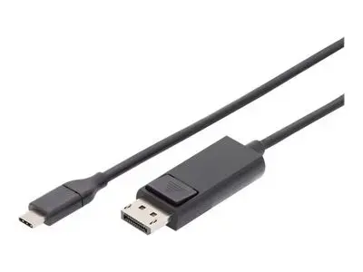 DIGITUS DisplayPort cable - USB-C to DisplayPort - 2 m