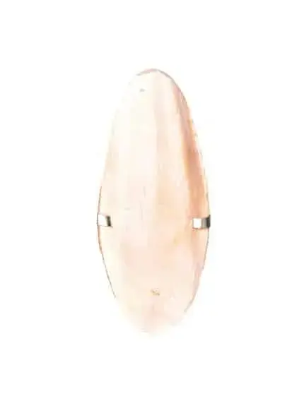 Gardums putniem: Cuttle Fish Bone with Holder 12cm