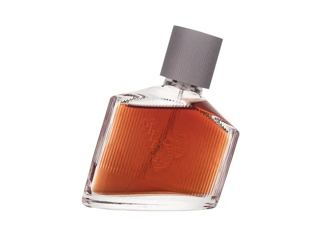 Bruno Banani Magnetic Man Eau de Toilette 50 ml