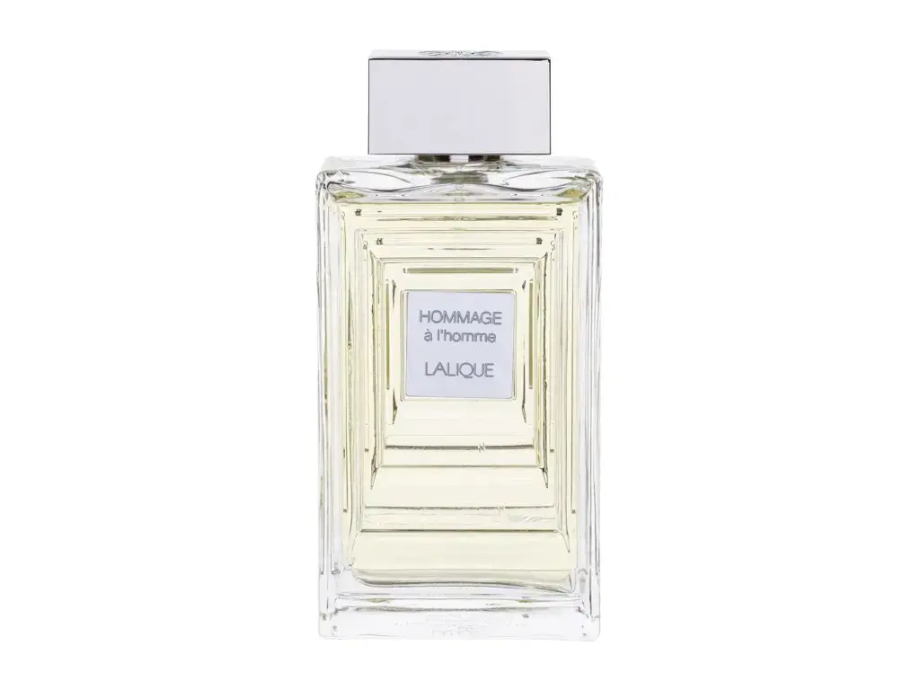 Lalique Hommage A L´Homme Eau de Toilette 100 ml