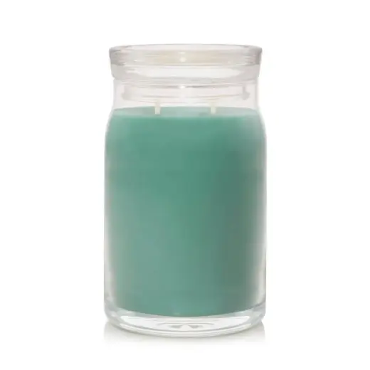 Debenhams Signature Large Jar Holiday Winterfest