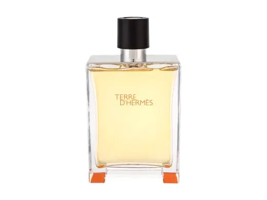 Hermes Terre d'Hermes Eau de Toilette 500 ml